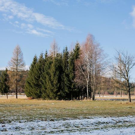 Alicjówka - domek Marciszow Exterior foto